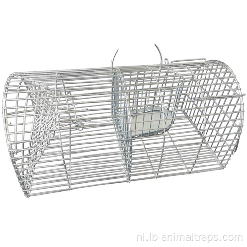 Levende dierrat vangt kooi voor ratten muizen